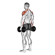 Demostración: Elevación posterior de deltoides con mancuernas