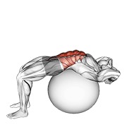 Demostración: Crunch con pelota de estabilidad (full range hands tras la nuca)