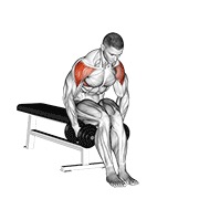 Demostración: Elevación lateral flexionada de brazo sentado con mancuernas