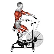 Demostración: Cycle cruzado trainer