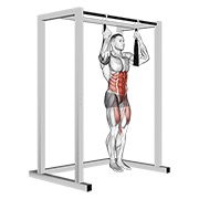 Demostración: Brazo slingers recto de piernas colgado