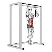 Demostración: Brazo slingers flexionado de rodilla de piernas colgado