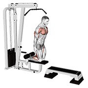 Demostración: Curl femoral inverse (on pull-up cable machine)