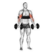 Demostración: Curl de bíceps alternado con mancuernas (con de brazo blaster)