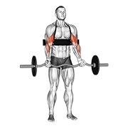 Demostración: Curl de bíceps ez-bar (con de brazo blaster)
