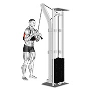 Demostración: Extensión en polea de tríceps en polea (v-bar, con de brazo blaster)