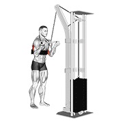 Demostración: Extensión en polea con agarre invertido de tríceps en polea (sz-bar, con de brazo blaster)