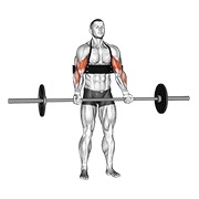 Demostración: Curl de bíceps con barra (con de brazo blaster)