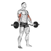 Demostración: Curl de bíceps ez-barbell con agarre amplio de pie