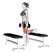 Demostración: Desplante step-up con mancuernas