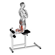Demostración: Elevación glute-ham