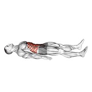 Demostración: Abdominal quarter