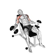 Demostración: Apertura hyght dumbbell