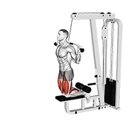 Demostración: Curl femoral asistido inverse en polea