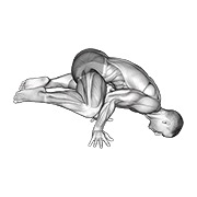 Demostración: Rana planche