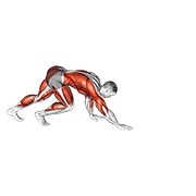 Demostración: Bear crawl