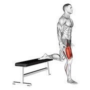 Demostración: Cuádriceps