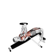 Demostración: Abdominal declinado con lastre